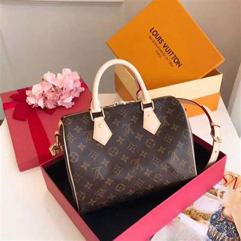 lv speedy 20 monogram.